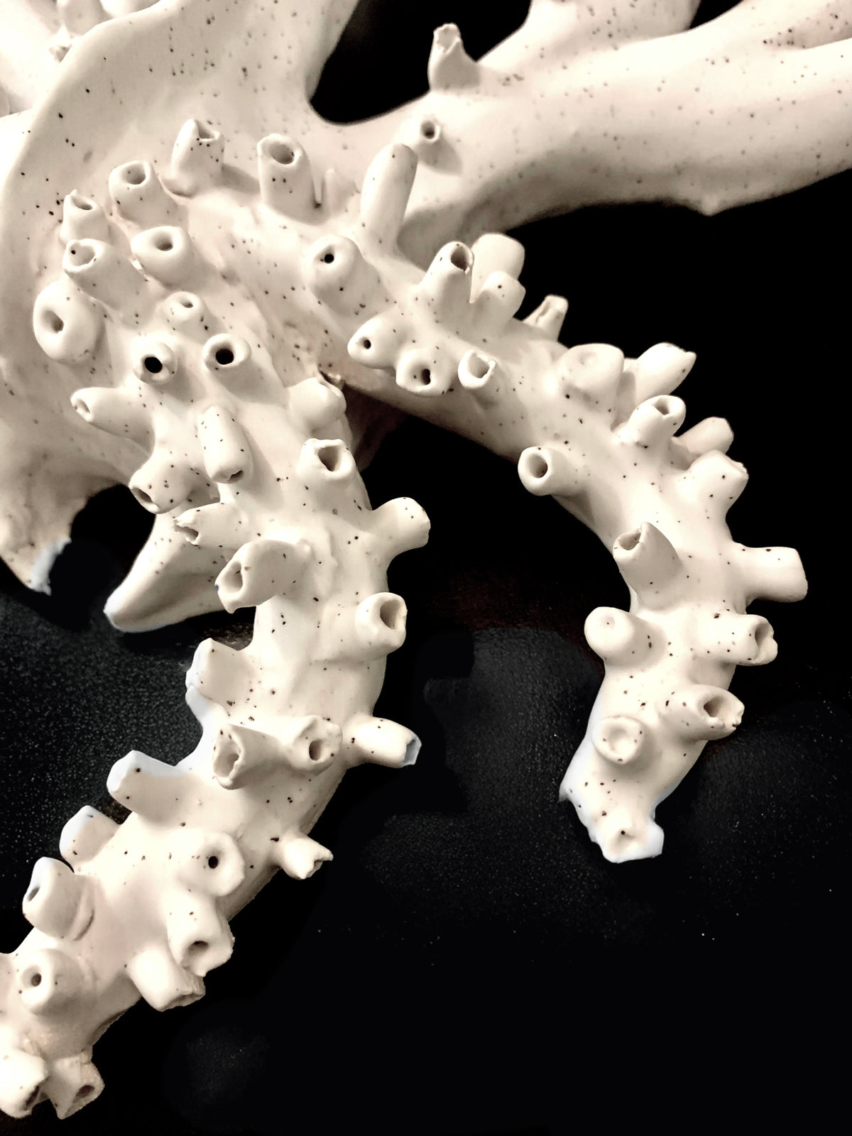Détail de tentacules de la sculpture murale en faïence blanche de Chi Phan, forme organique hybride, sur fond noir.