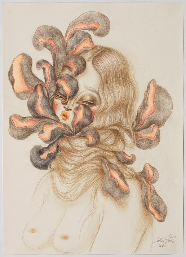 Dessin au crayon et graphite sur papier, réalisé par Miss Van, portrait féminin masqué par des pétales organiques. Oeuvre originale sur papier disponible à la vente.