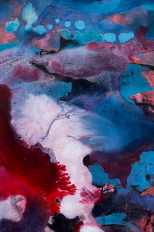 Détail de l'Œuvre abstraite organique de l'artiste colombien Gustavo Vejarano, peinture à l’huile et acrylique aux nuances rouges, bleues et blanches, exposée par la Galerie Vermeulen – petit format, art contemporain en vente en ligne.