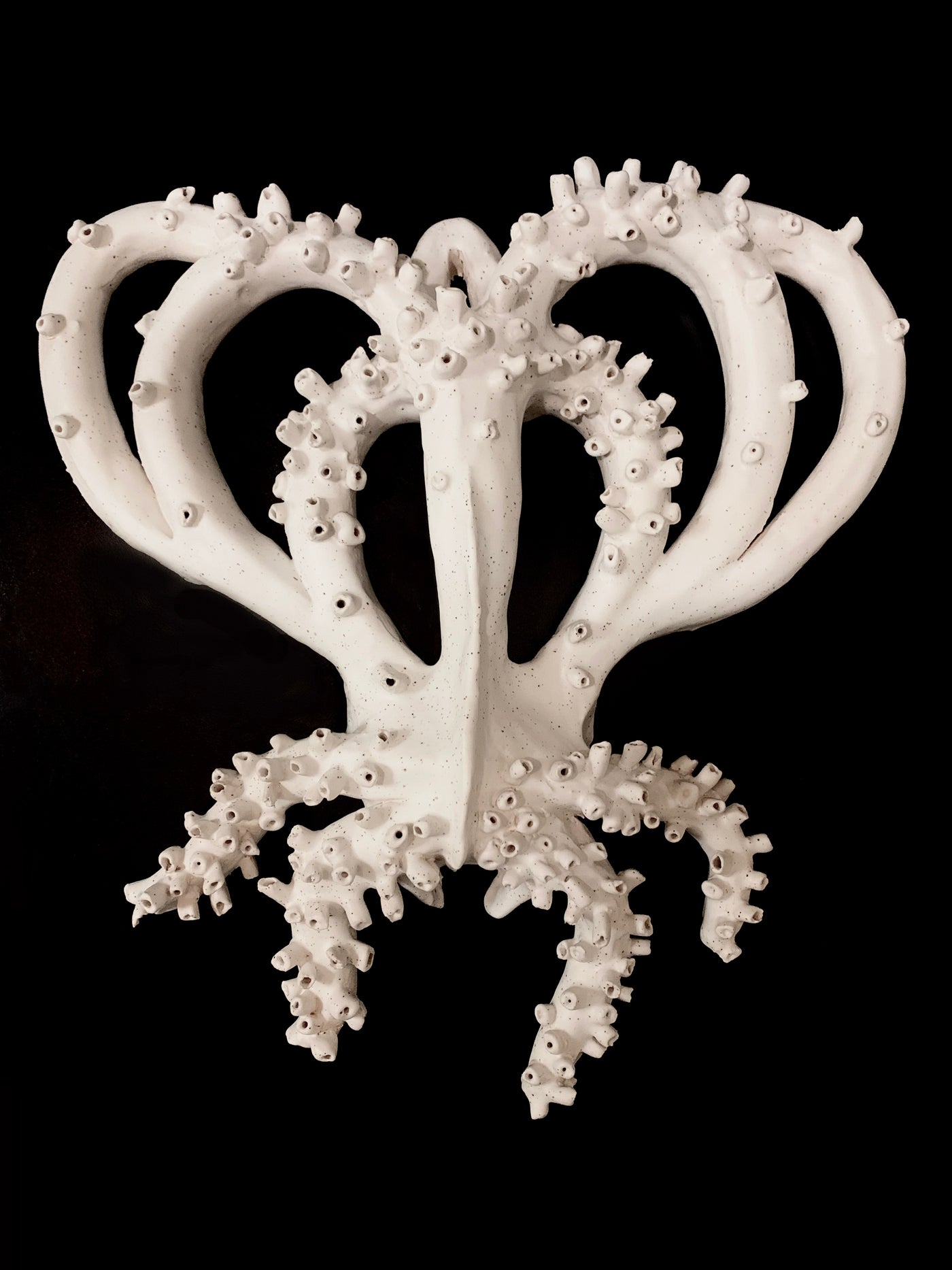 Sculpture murale en faïence blanche de Chi Phan, forme organique hybride avec tentacules, sur fond noir.